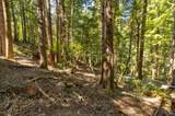 33170 Frog Pond Road - Photo 12