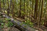 33170 Frog Pond Road - Photo 18