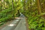 33170 Frog Pond Road - Photo 2