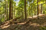 33170 Frog Pond Road - Photo 22
