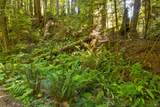 33170 Frog Pond Road - Photo 7