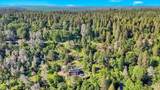 10817 Cement Hill Road - Photo 91