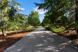 7055 Big Hill Road - Photo 85