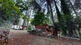 15526 Cascade Drive - Photo 44