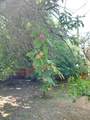 7428 Amherst Street - Photo 25