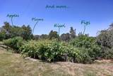 7293 Ridge Road - Photo 58