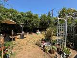 5331 Mcglashan Street - Photo 13