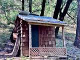 17200 Hale Rd - Photo 20