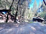 17200 Hale Rd - Photo 3