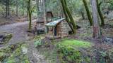 17200 Hale Rd - Photo 5