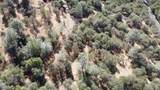 13813 County 270 Road - Photo 13