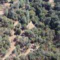 13813 County 270 Road - Photo 7