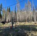 7177 Sierra Pines Road - Photo 18