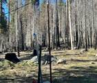 7177 Sierra Pines Road - Photo 2