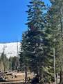 7177 Sierra Pines Road - Photo 7