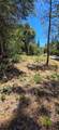 0 Freshwater Lane - Photo 8