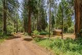 17770 Gold Creek Trail - Photo 10