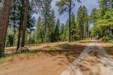 17770 Gold Creek Trail - Photo 11