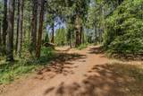 17770 Gold Creek Trail - Photo 15