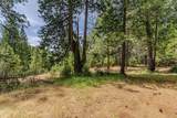17770 Gold Creek Trail - Photo 17