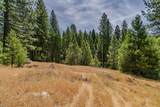 17770 Gold Creek Trail - Photo 18