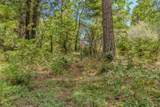 17770 Gold Creek Trail - Photo 20