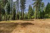 17770 Gold Creek Trail - Photo 4
