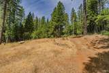 17770 Gold Creek Trail - Photo 5