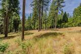 17770 Gold Creek Trail - Photo 6