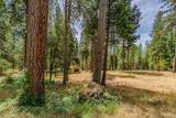 17770 Gold Creek Trail - Photo 7
