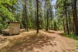 17770 Gold Creek Trail - Photo 9
