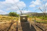 0 Pine Tree Lane - Photo 10