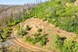 0 Pine Tree Lane - Photo 14