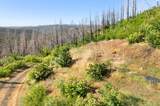 0 Pine Tree Lane - Photo 16