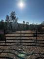 0 Six Bit. Gulch Rd - Photo 1