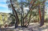 16428 Patricia Way - Photo 1