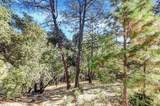 16428 Patricia Way - Photo 3