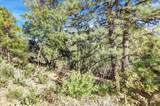 16428 Patricia Way - Photo 5