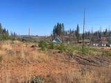 10141 Grizzly Flat Road - Photo 10