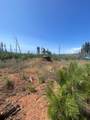 10141 Grizzly Flat Road - Photo 2