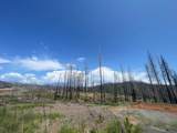 10141 Grizzly Flat Road - Photo 3