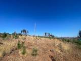 10141 Grizzly Flat Road - Photo 6