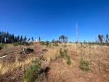 10141 Grizzly Flat Road - Photo 7