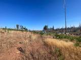 10141 Grizzly Flat Road - Photo 8