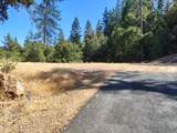 12226 Pine Cone Circle - Photo 10