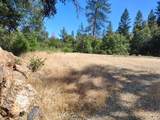 12226 Pine Cone Circle - Photo 12