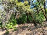 12226 Pine Cone Circle - Photo 13