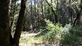 12226 Pine Cone Circle - Photo 14