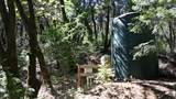 12226 Pine Cone Circle - Photo 17