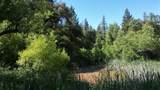 12226 Pine Cone Circle - Photo 18